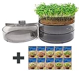 mgc24® Keimbar - Keimsprossenbox zur Anzucht von Keimsprossen mit 4 Keimschalen und Deckel - Set inkl. 10 Sorten Kiepenkerl Bio Keimsprossen