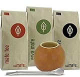Original Mate Tee Set Bio │300g Bio Matetee + Edelstahl Bombilla + Kalebasse + Yerba Mate Zubereitungsanleitung
