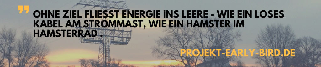 Ziel Zitat