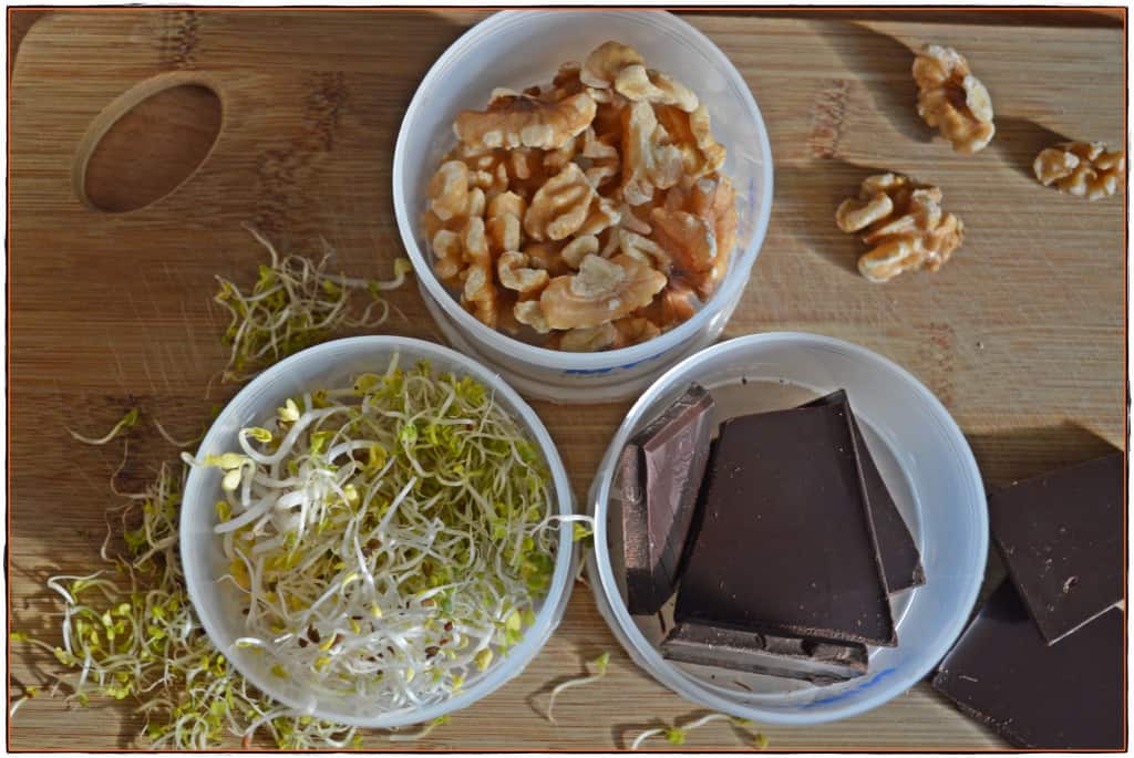 Snackbox Brainfood